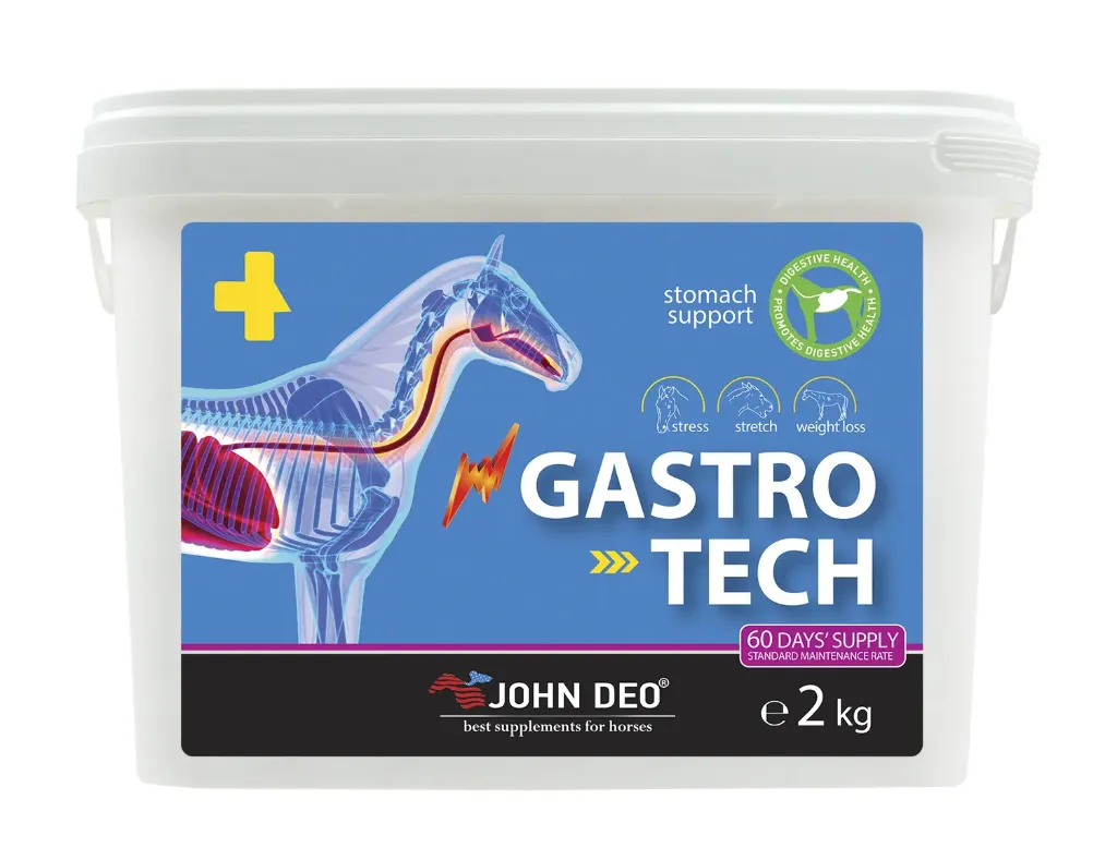 Gastro Tech 2 Kg
