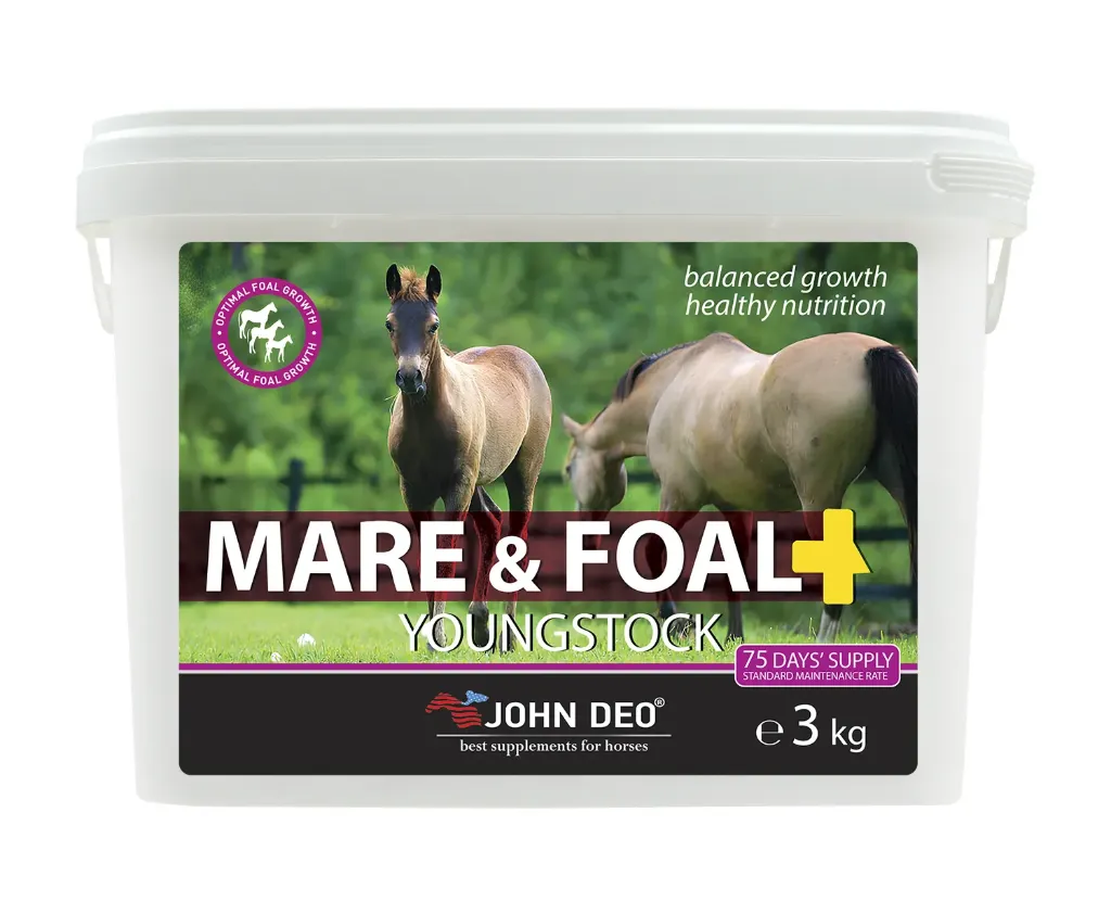 Mare & Foal 3 Kg