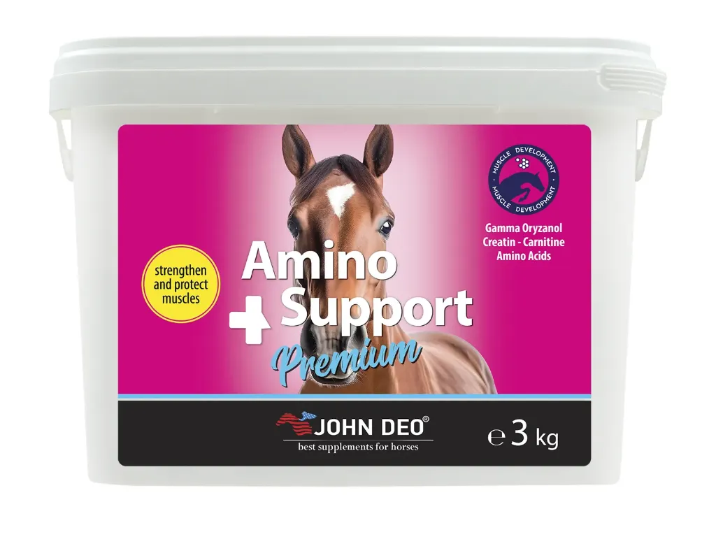 Amino Support 3 Kg